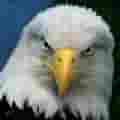 EagleUSMCRet