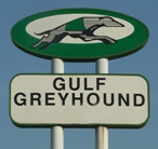 gulfgreyhound