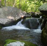 TroutTracker