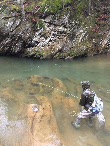 TigerTrout4wt