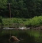 huntfish