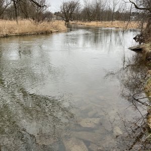 IMG_4028.jpeg