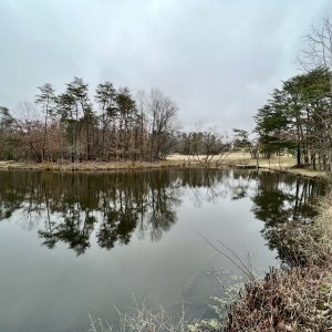 IMG_1277.jpeg