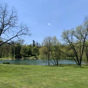 IMG_5204.jpeg