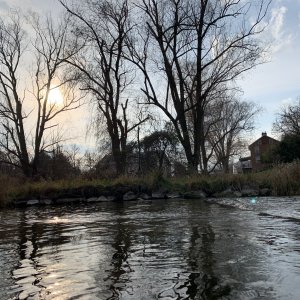 IMG_3663.jpeg