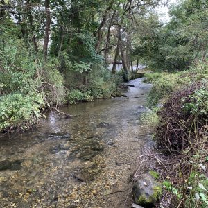IMG_3153.jpeg