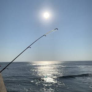 IMG_3112.jpeg
