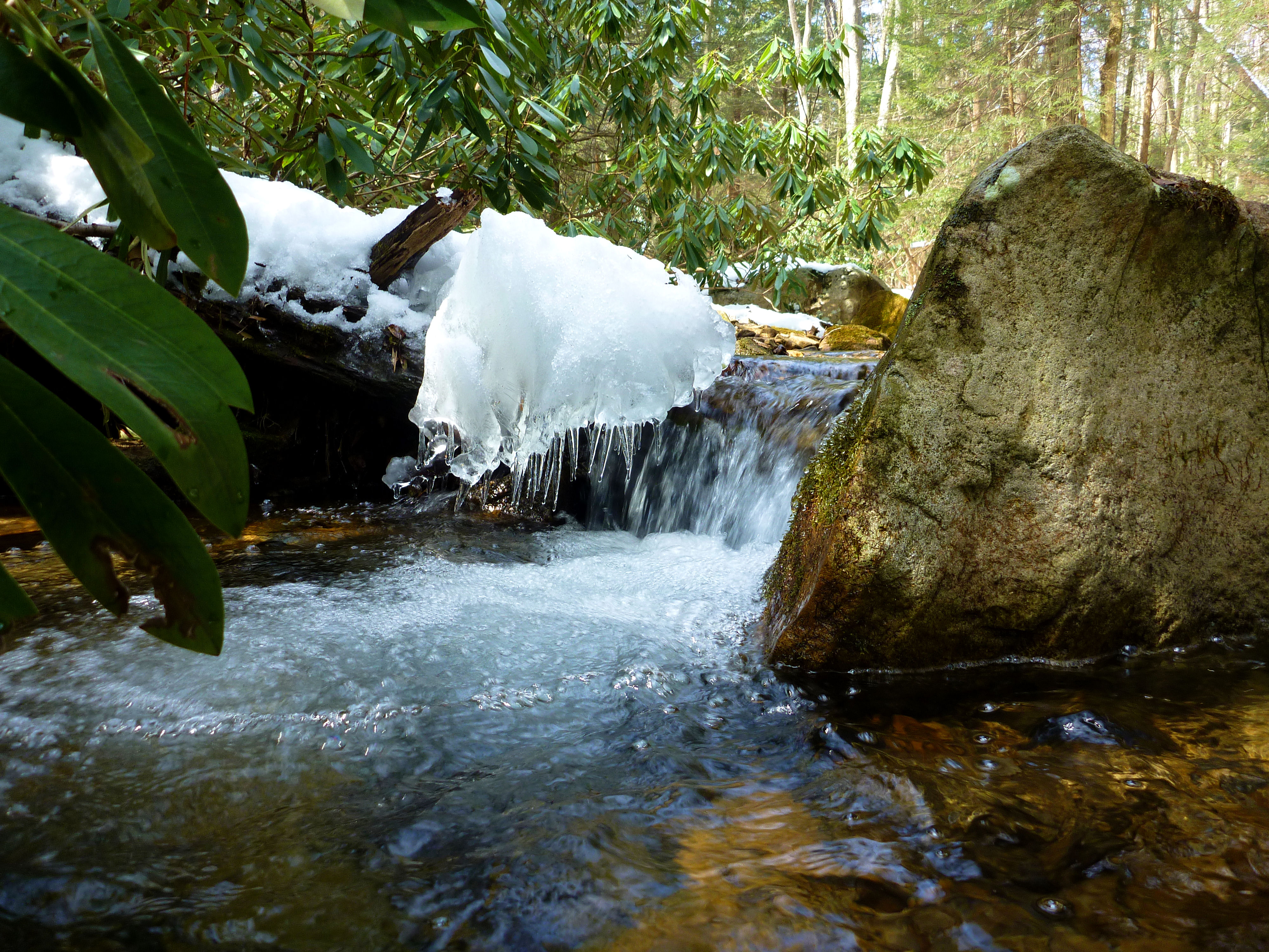 2013-03-09 NFBC 7.JPG