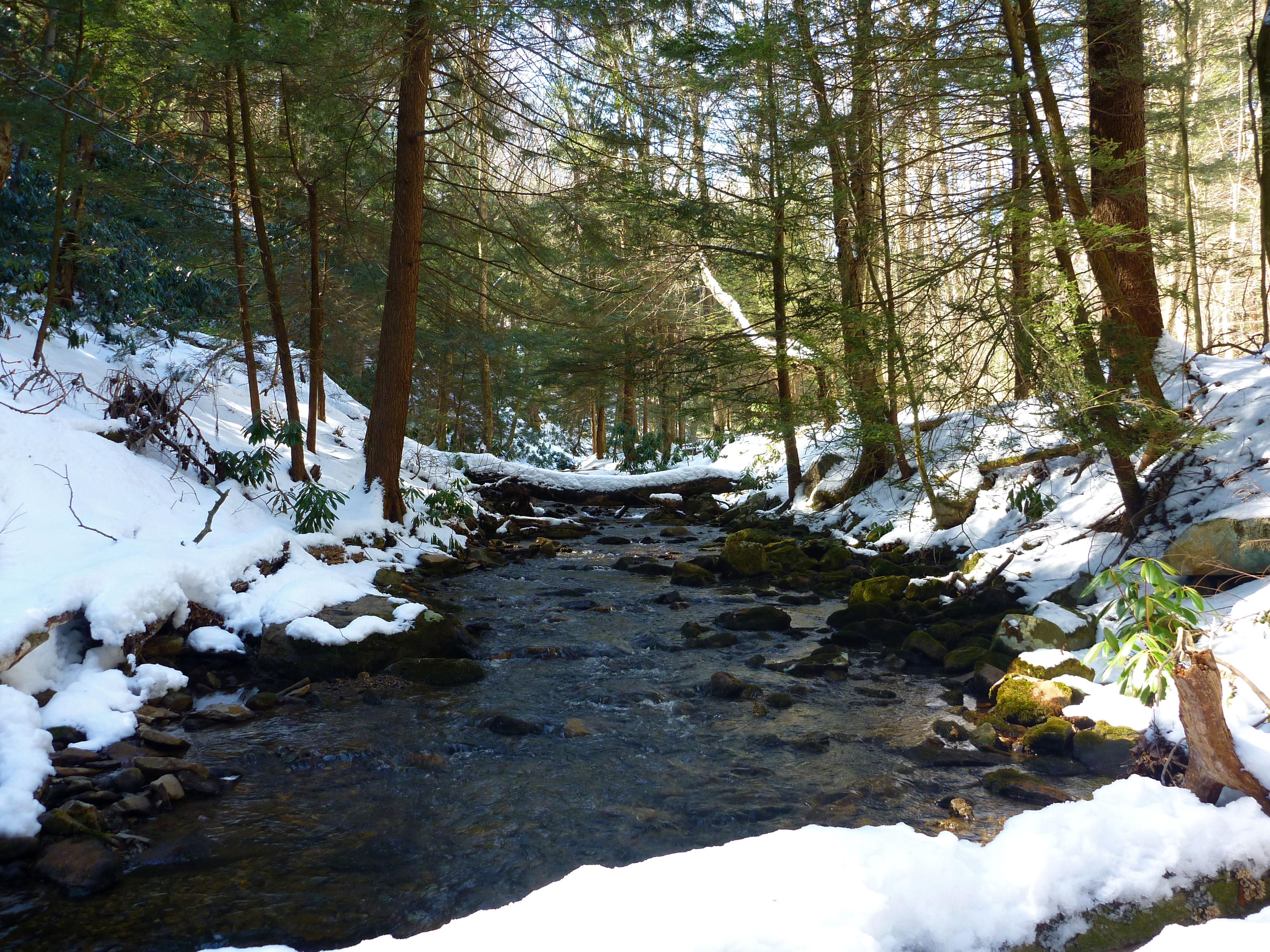 2013-03-09 NFBC 8.JPG