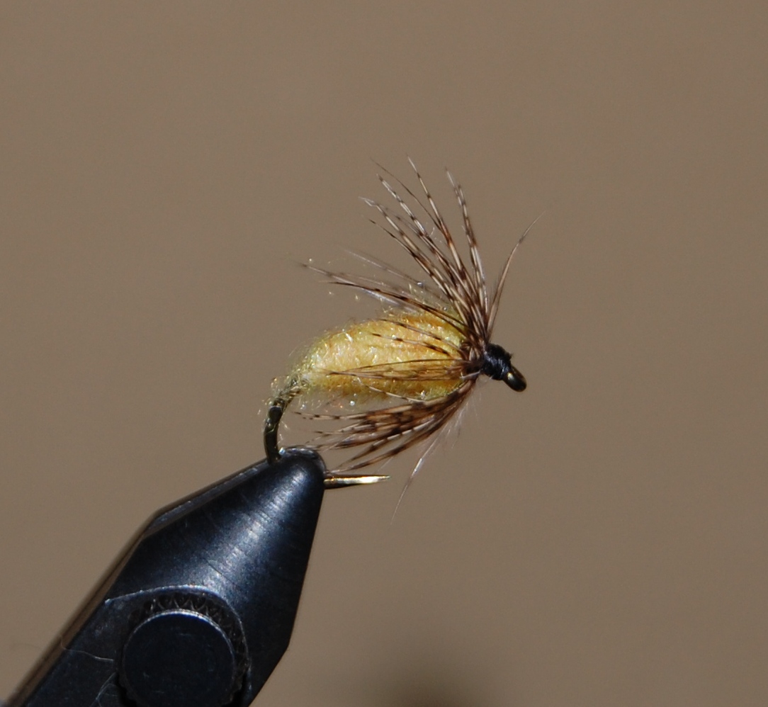 Pics from the 2010 Warm Water Fly Swap | Paflyfish
